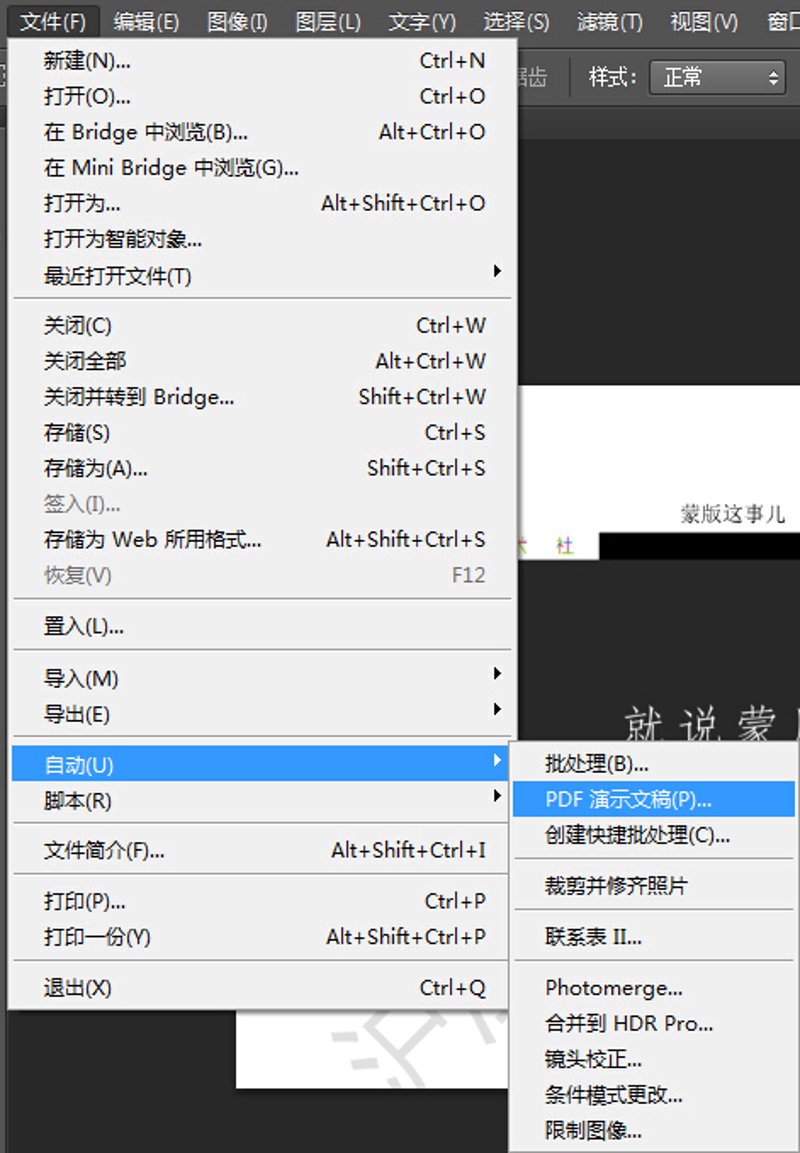 揭秘PDF双层制作技术，助力文档更高效管理